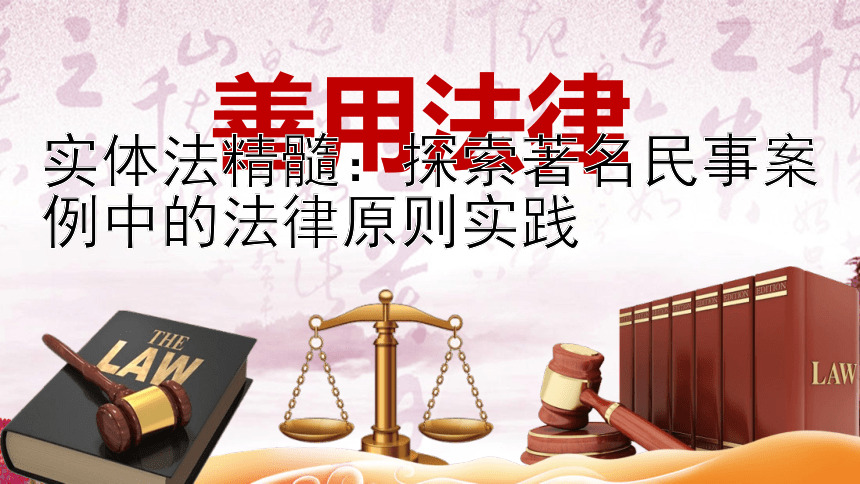 实体法精髓：探索著名民事案例中的法律原则实践