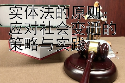 实体法的原则：应对社会变迁的策略与实践