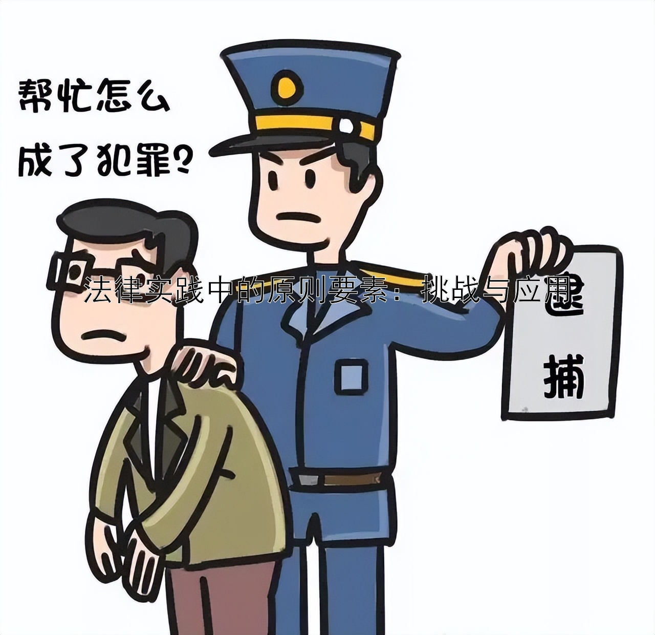 法律实践中的原则要素：挑战与应用