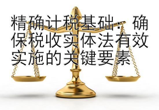 精确计税基础：确保税收实体法有效实施的关键要素