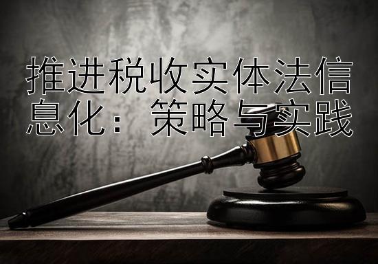 推进税收实体法信息化：策略与实践