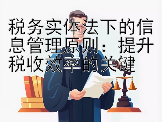 税务实体法下的信息管理原则：提升税收效率的关键