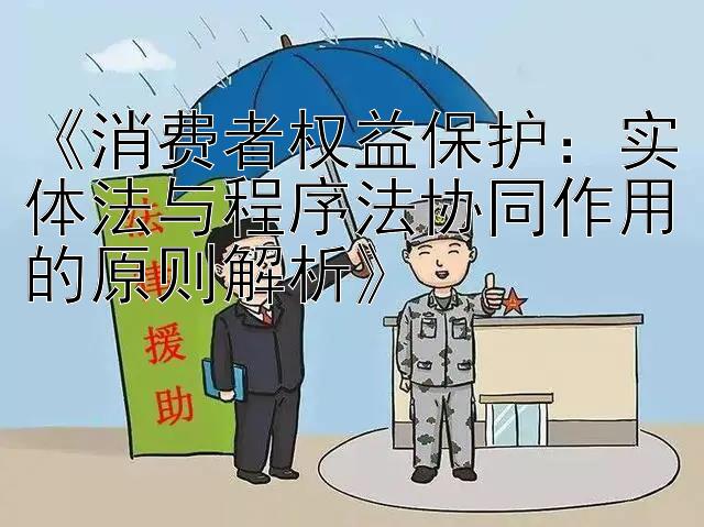 《消费者权益保护：实体法与程序法协同作用的原则解析》