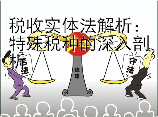 税收实体法解析：特殊税种的深入剖析