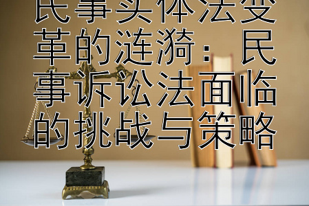 民事实体法变革的涟漪：民事诉讼法面临的挑战与策略