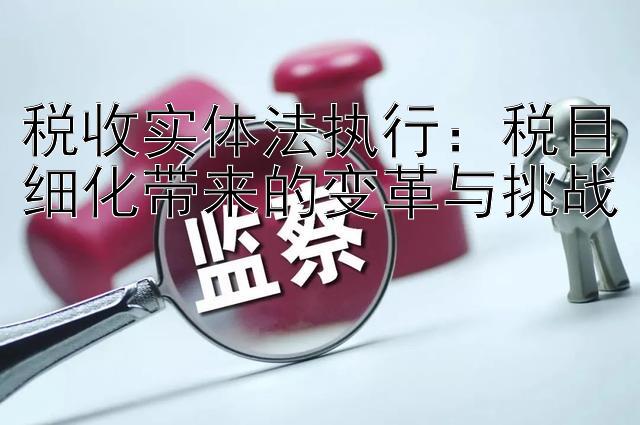 税收实体法执行：税目细化带来的变革与挑战